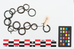 Foto von Bronzering (NHMW-PRAE-025489)